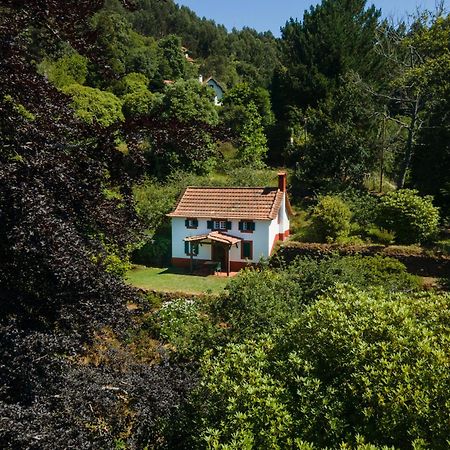 Valle Paraizo Camacha  Exterior photo